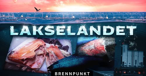 Viser hvordan oppdrett legger beslag på natur