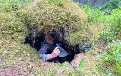 Vinterjobb på Mostun