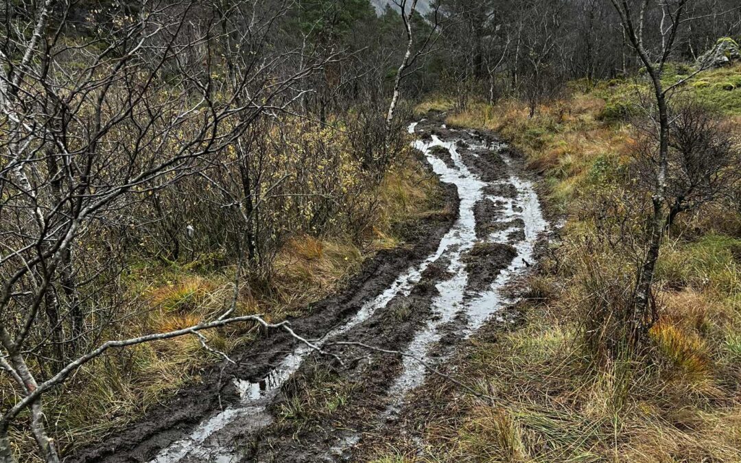 ATV-køyring lagar stygge sår i naturen