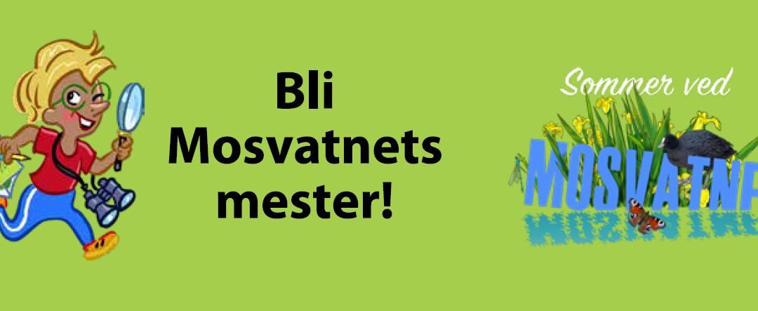 Sommer ved Mosvatnet og Sommer ved Jærkysten