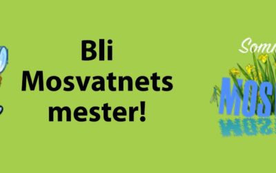 Sommer ved Mosvatnet og Sommer ved Jærkysten