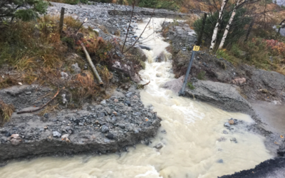 Viktig naturvernseier i Strand