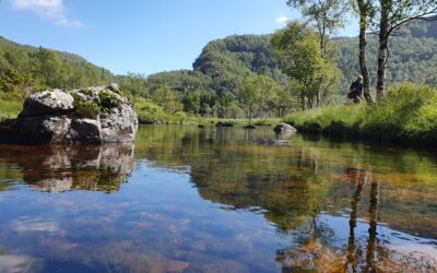 Det er nok nå, Hjelmeland