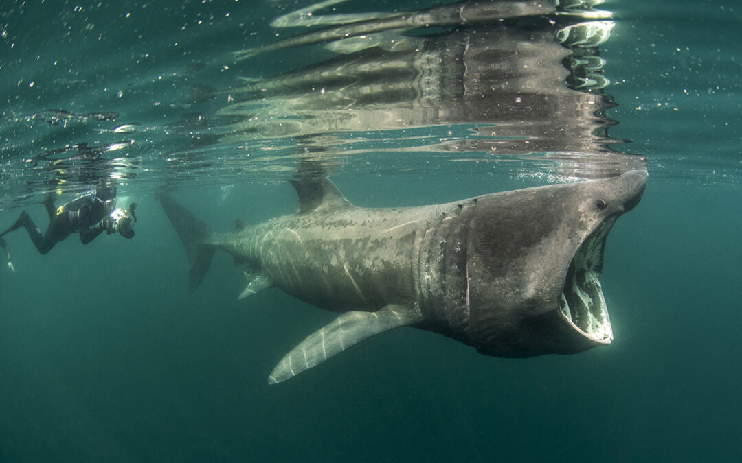 Programmet for ny runde med foredrag er klart