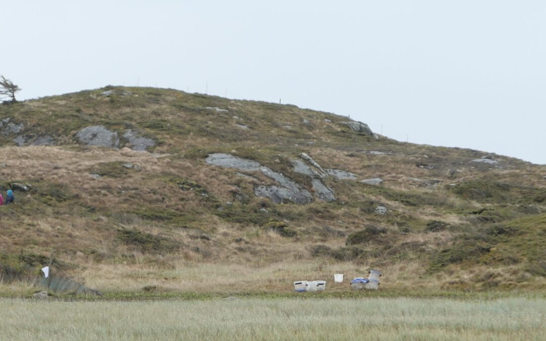 Rasering av verdifull natur i Sola ble framstilt som gladsak