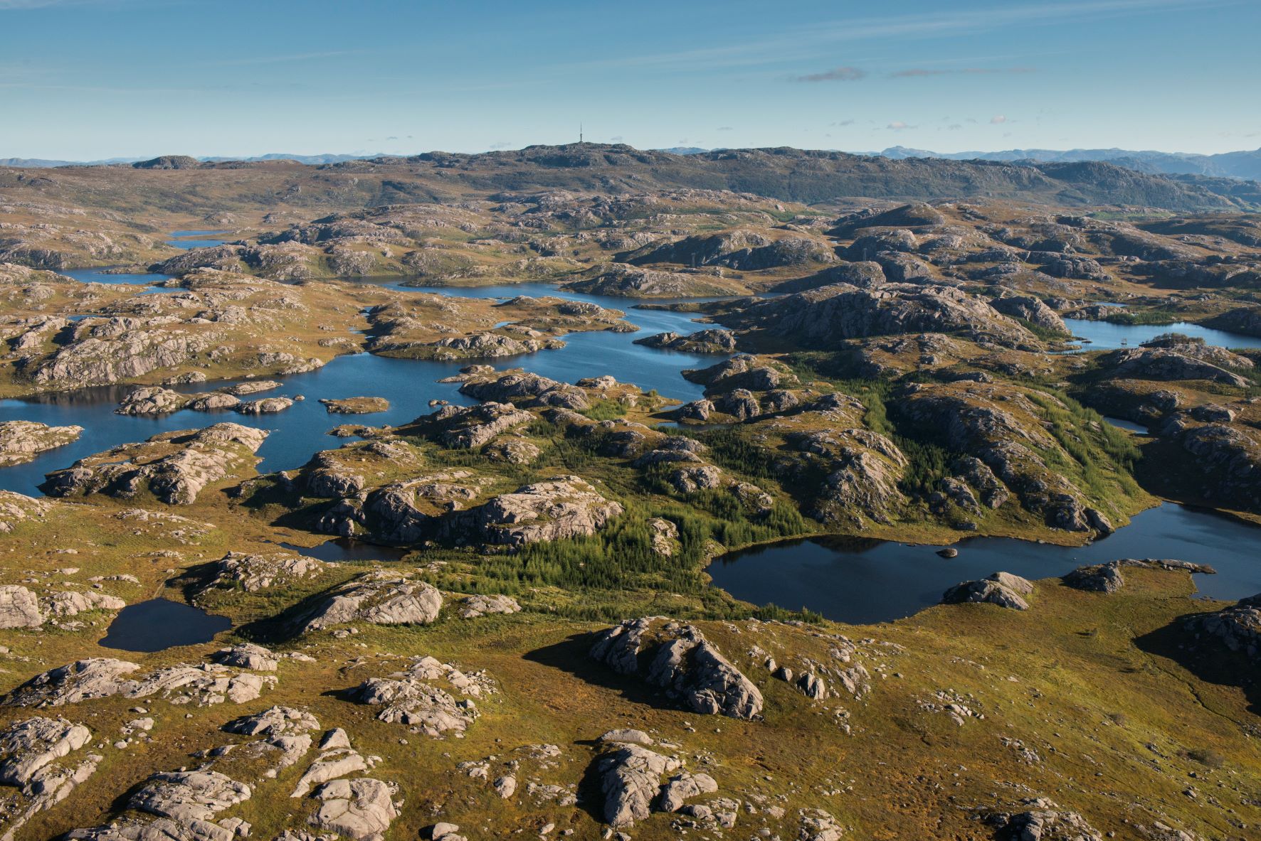 LAKSESVELAFJELLET, Bjerkreim kommune lav