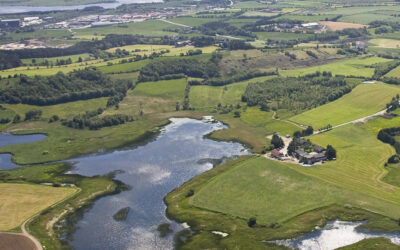 Nå haster det å berge villaksen