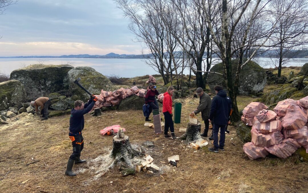 Årsmøtetid i lokallagene