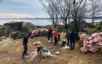 Årsmøtetid i lokallagene