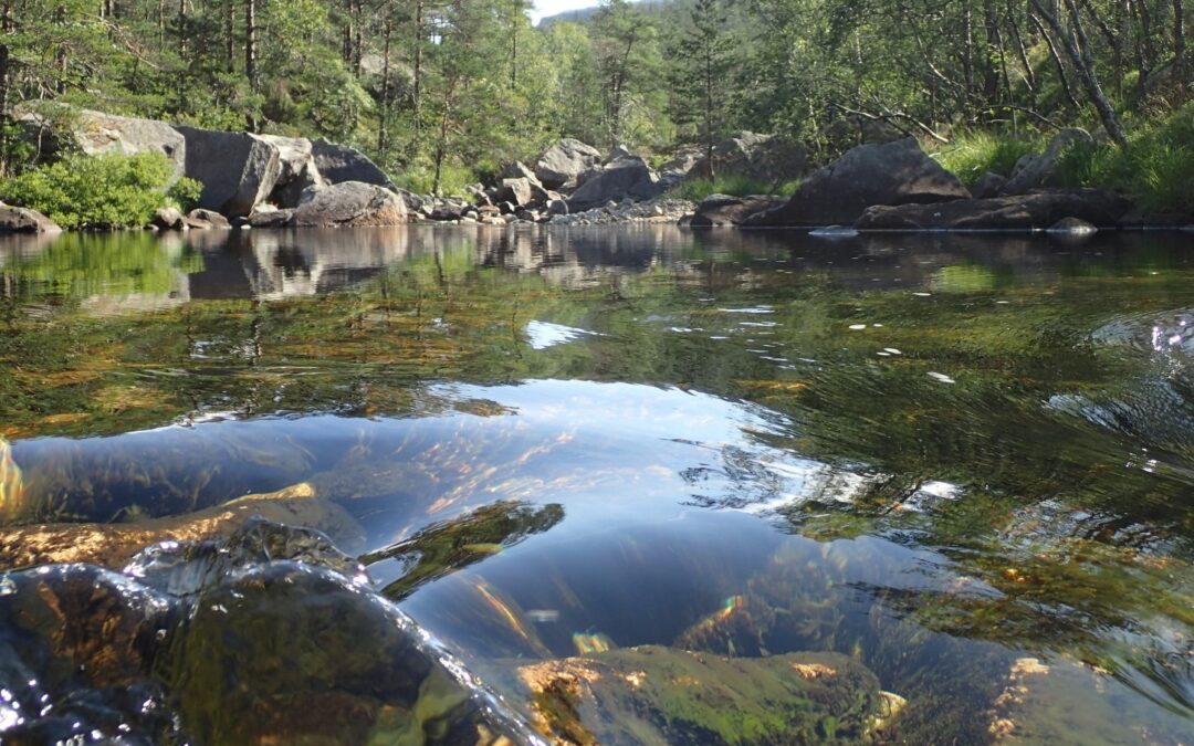 Bli med i Sandnes lokallag