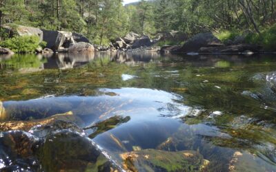 Bli med i Sandnes lokallag