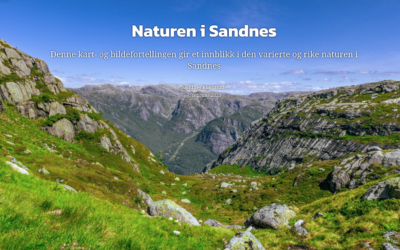 Tilbyr unik bildereise – vil si noe om naturens betydning