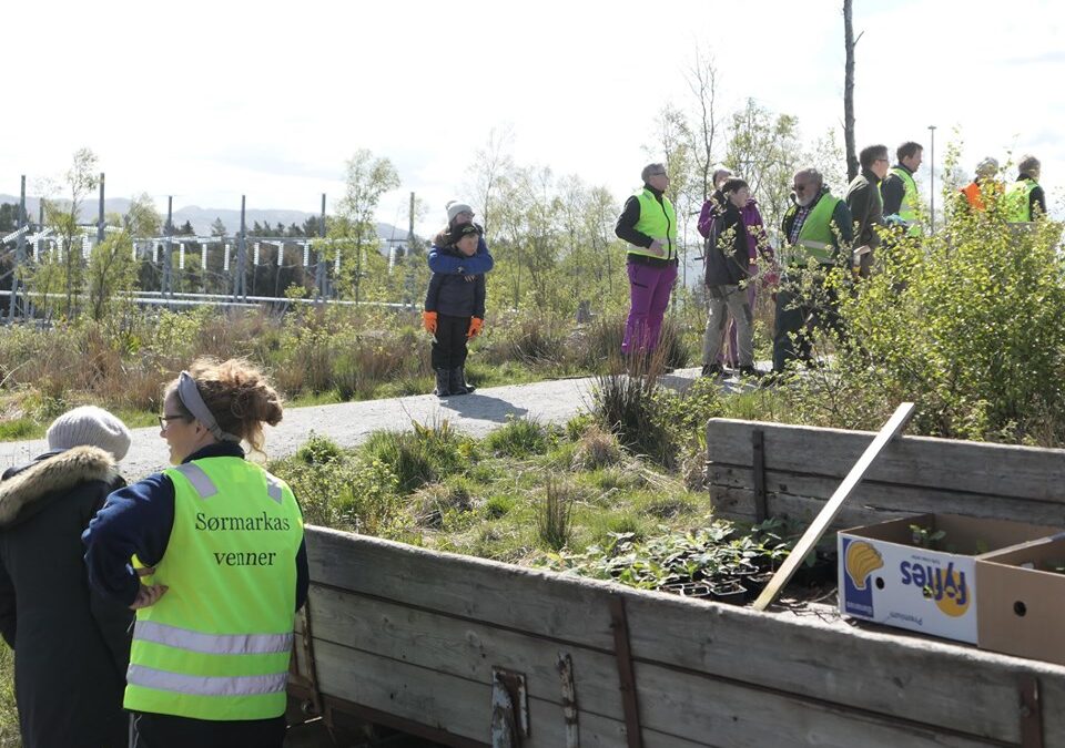 Slutt å herje med Sørmarka