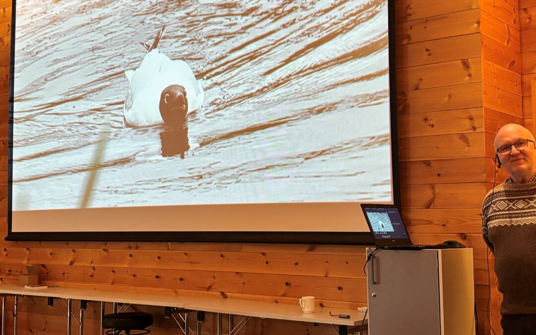 Delte kunnskap og erfaringer om en truet fugleart