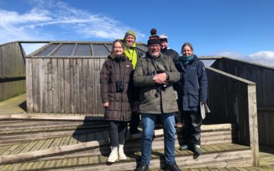 Vil du bli ny daglig leder i Naturvernforbundet i Rogaland?