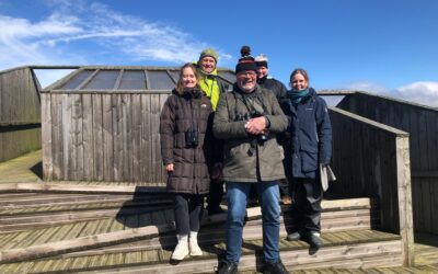 Vil du bli ny daglig leder i Naturvernforbundet i Rogaland?