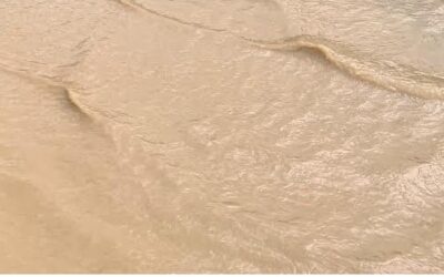 Vanlig å bryte regelverket for utslipp av slam