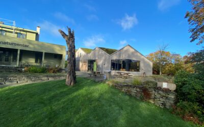 Mostun får driftsstøtte fra kommunen tross budsjettkutt