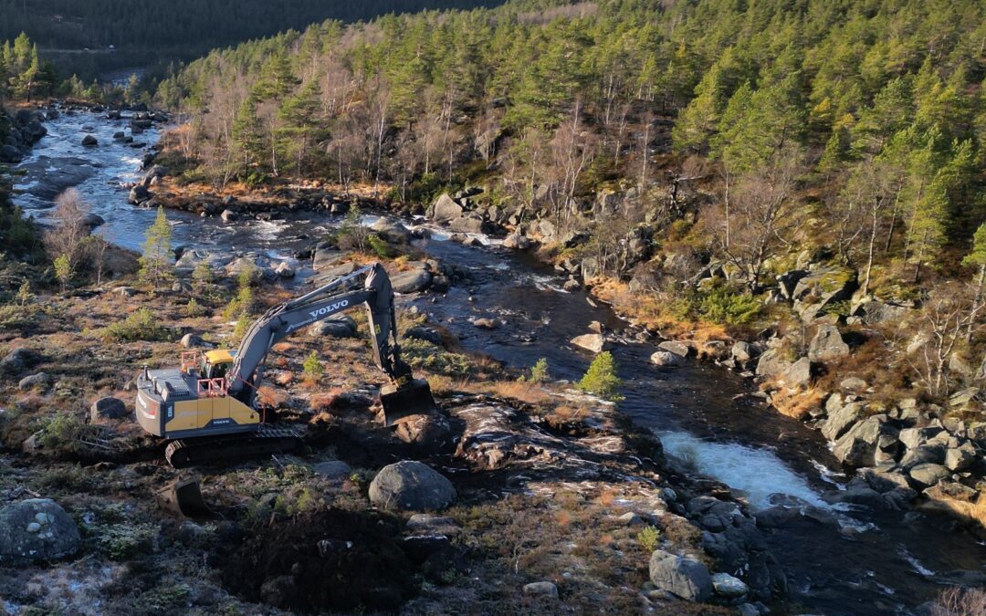 Endret lovtolkning kan bidra til å redusere naturtapet