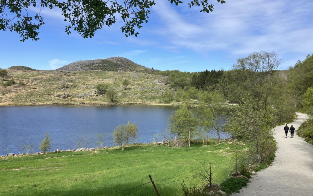 Bynær natur bør sikres ved lov