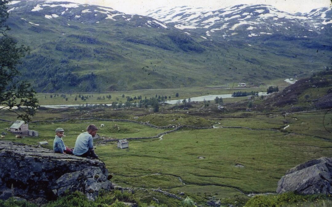 Ny, grov rasering av Røldal